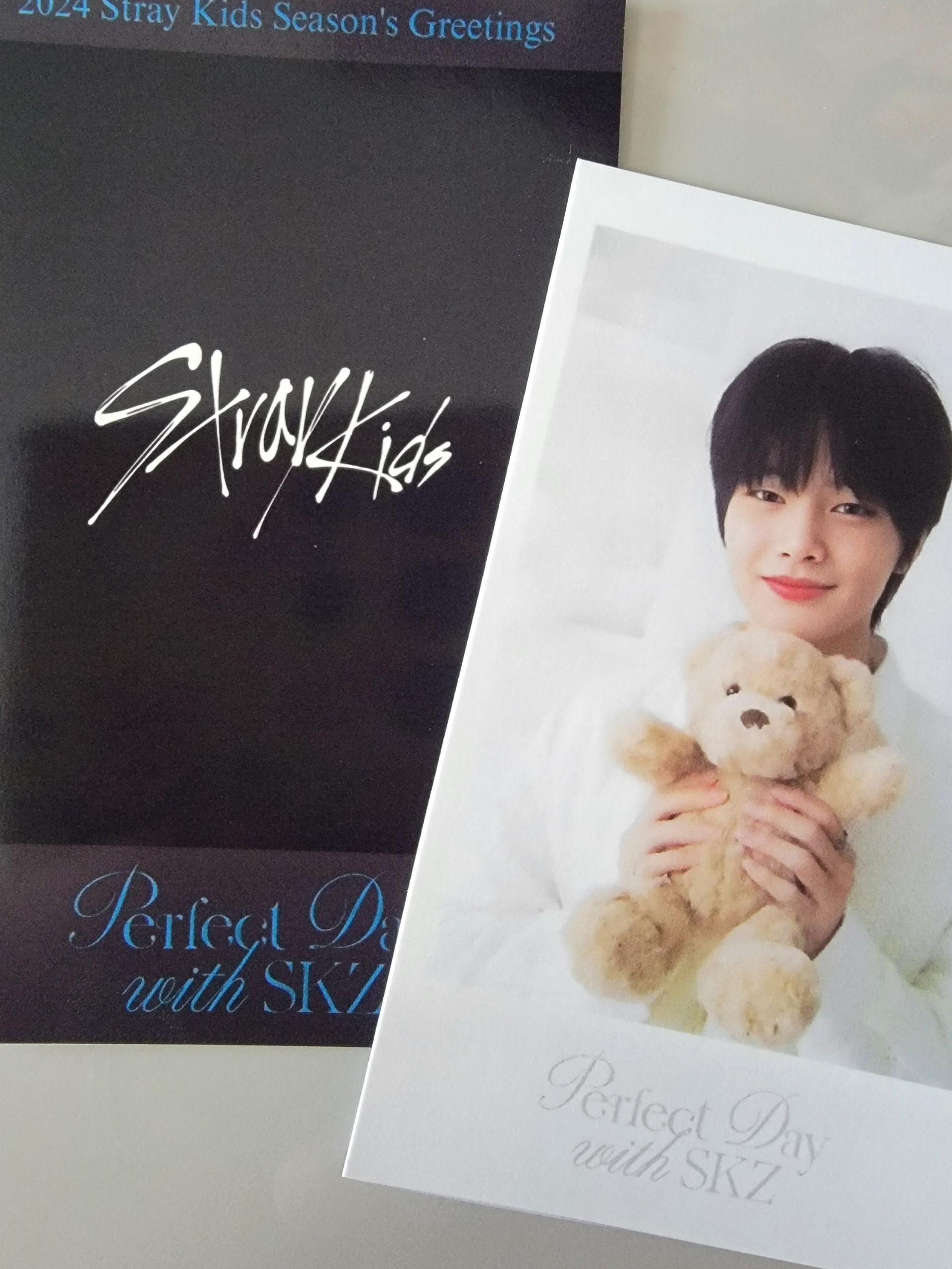 Stray Kids Seasons Greetings 24 Polaroids