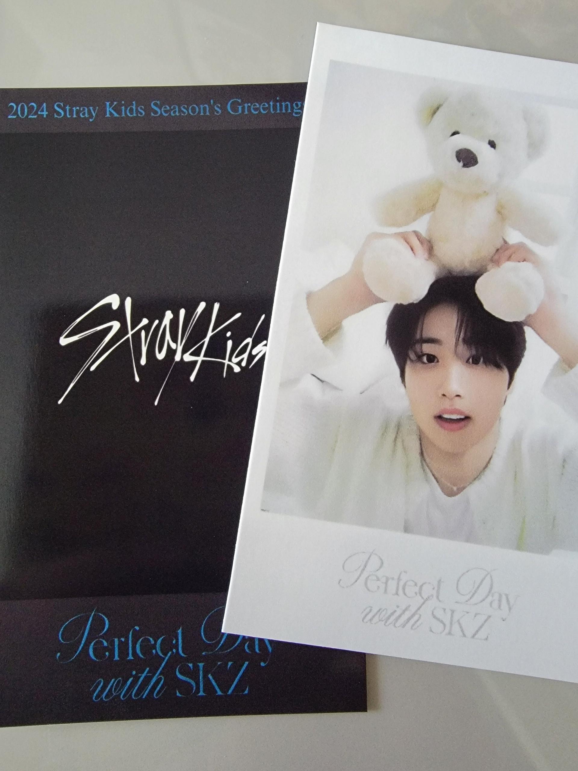 Stray Kids Seasons Greetings 24 Polaroids
