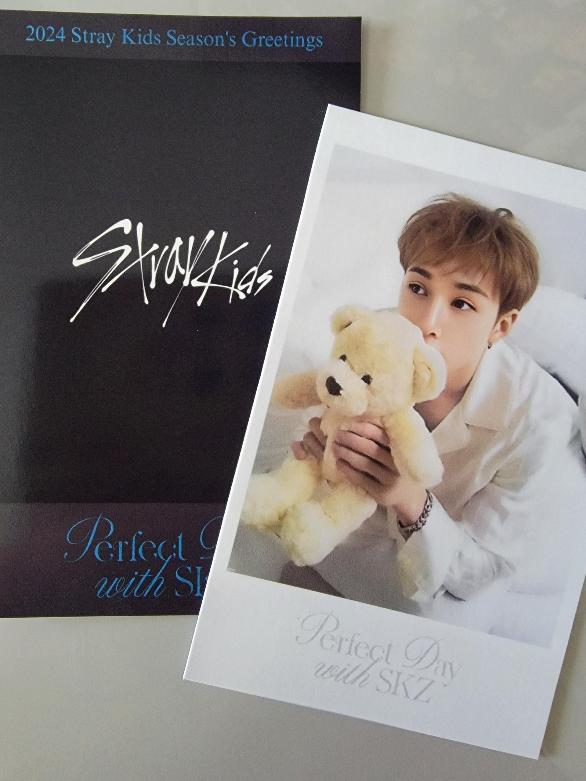 Stray Kids Seasons Greetings 24 Polaroids