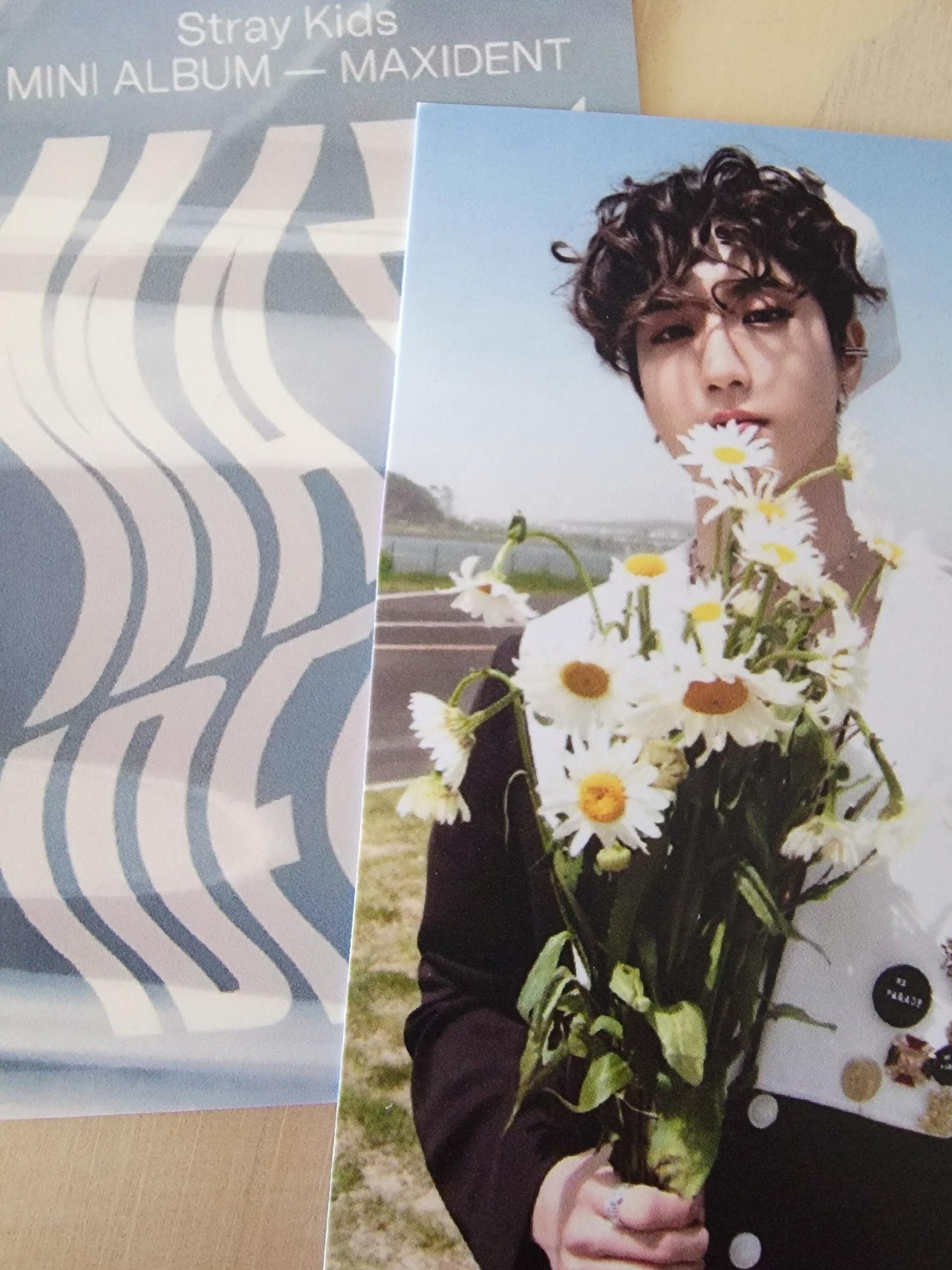 Stray Kids Maxident Barnes & Noble POB photocards