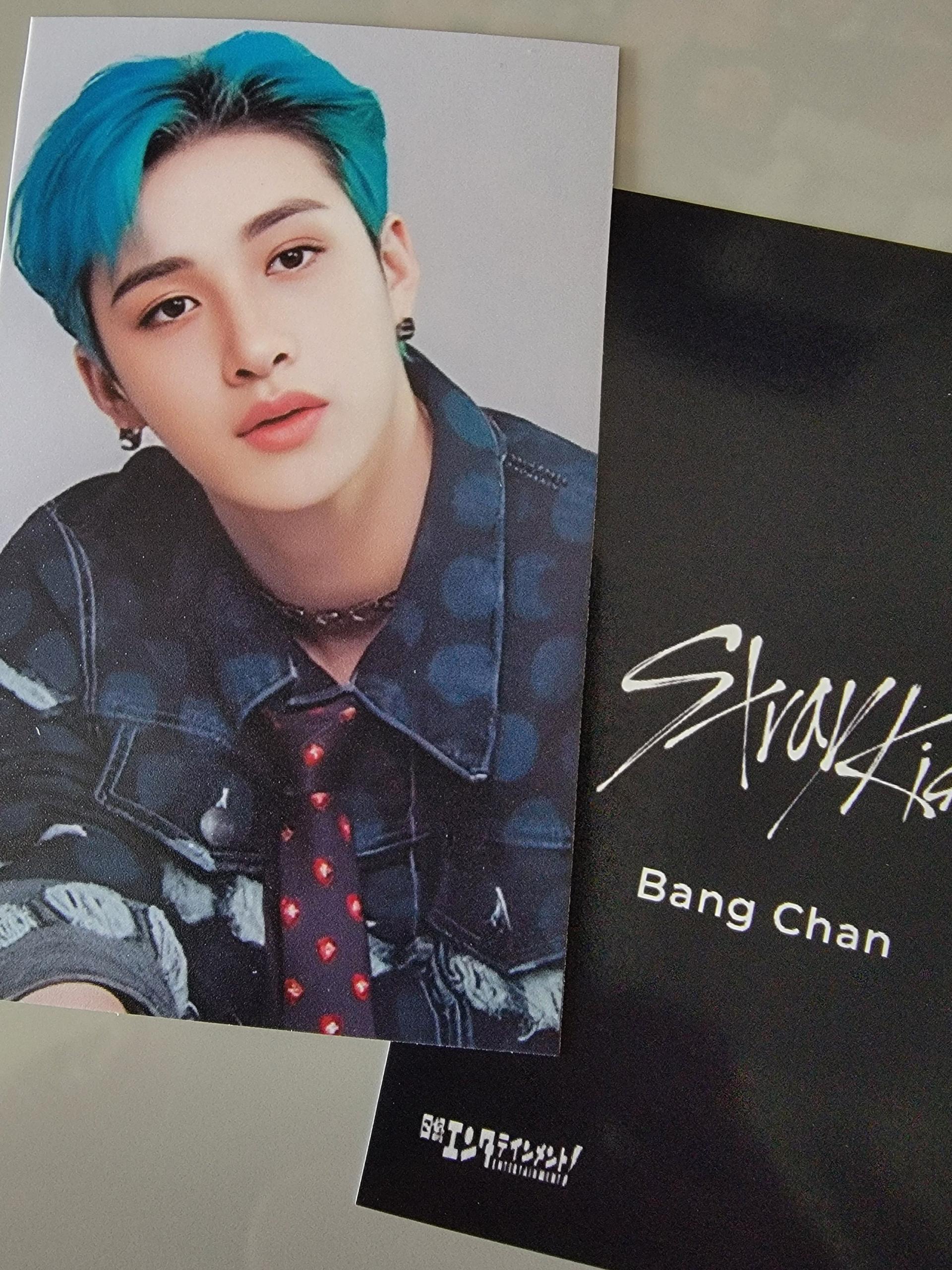 Stray Kids Nikkei Benefit Photocards