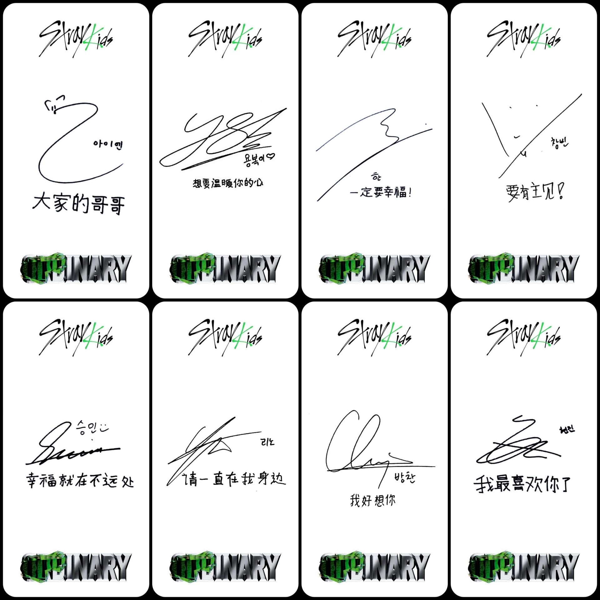 Stray Kids Oddinary YZY with fans Video Call Fansign 2 photocards