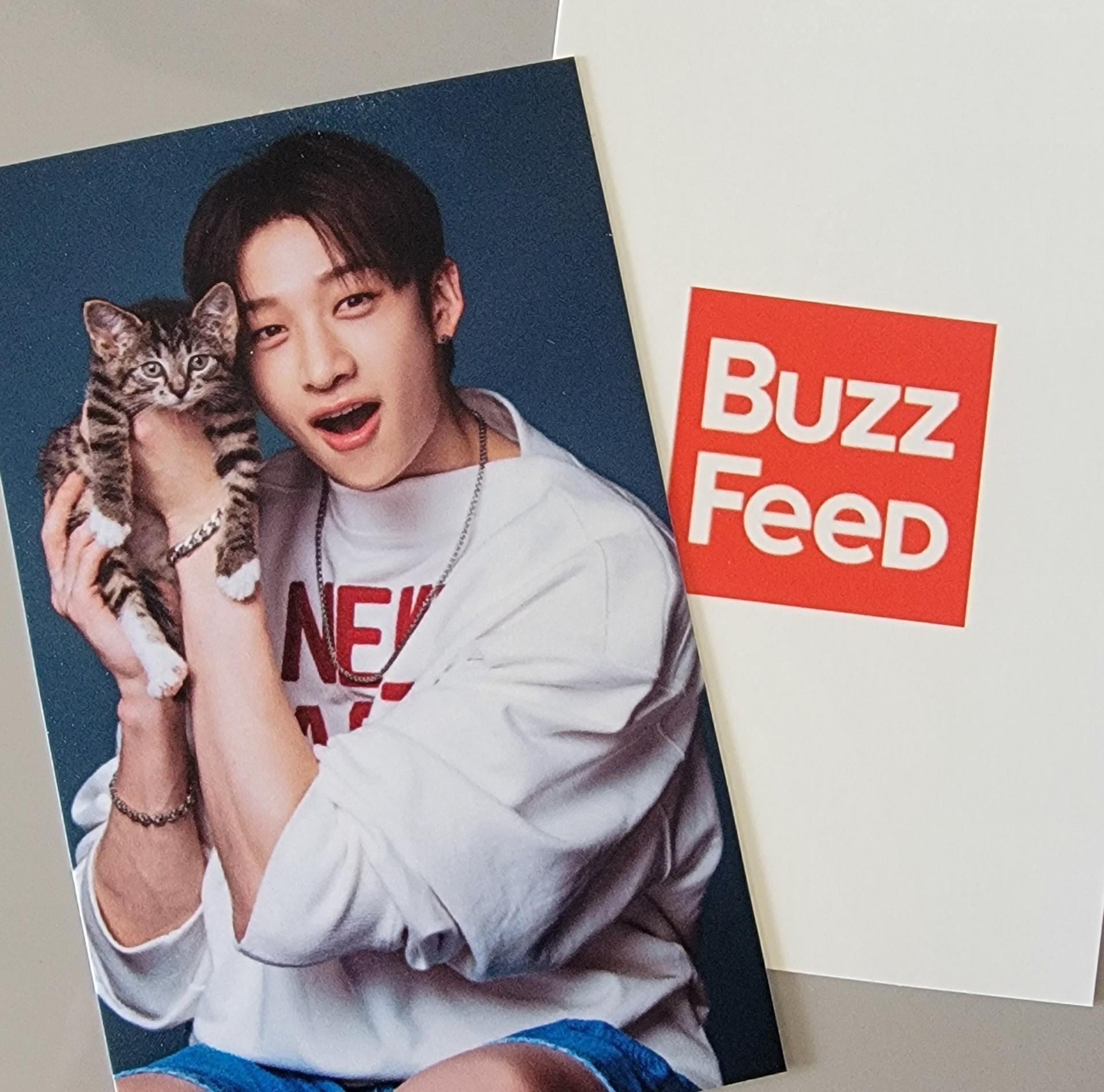 Stray Kids x Buzz Feed with Cats Photocards