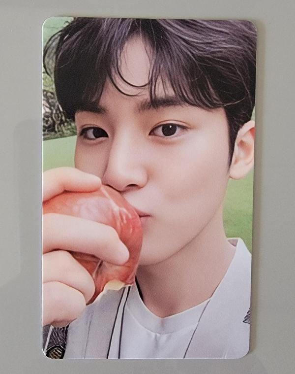 Seventeen Mingyu - Social Club Photocard