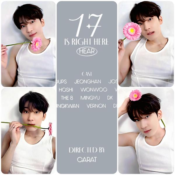 Seventeen : Wonwoo - 17 is Right Here Dear Ver Photocards 